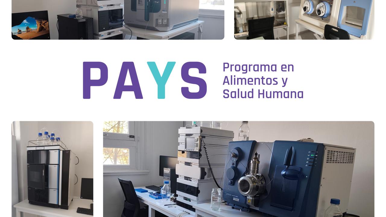 Servicios PAyS