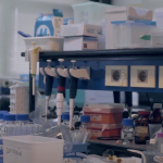 red-ciencias-boletin5-3