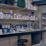 red-ciencias-boletin5-4