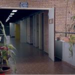 red-ciencias-boletin5-7