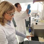 Red - HC - boletin7-5