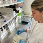 Red - HC - boletin7-8