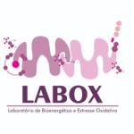 Entrevista - ALatini - boletin9-2