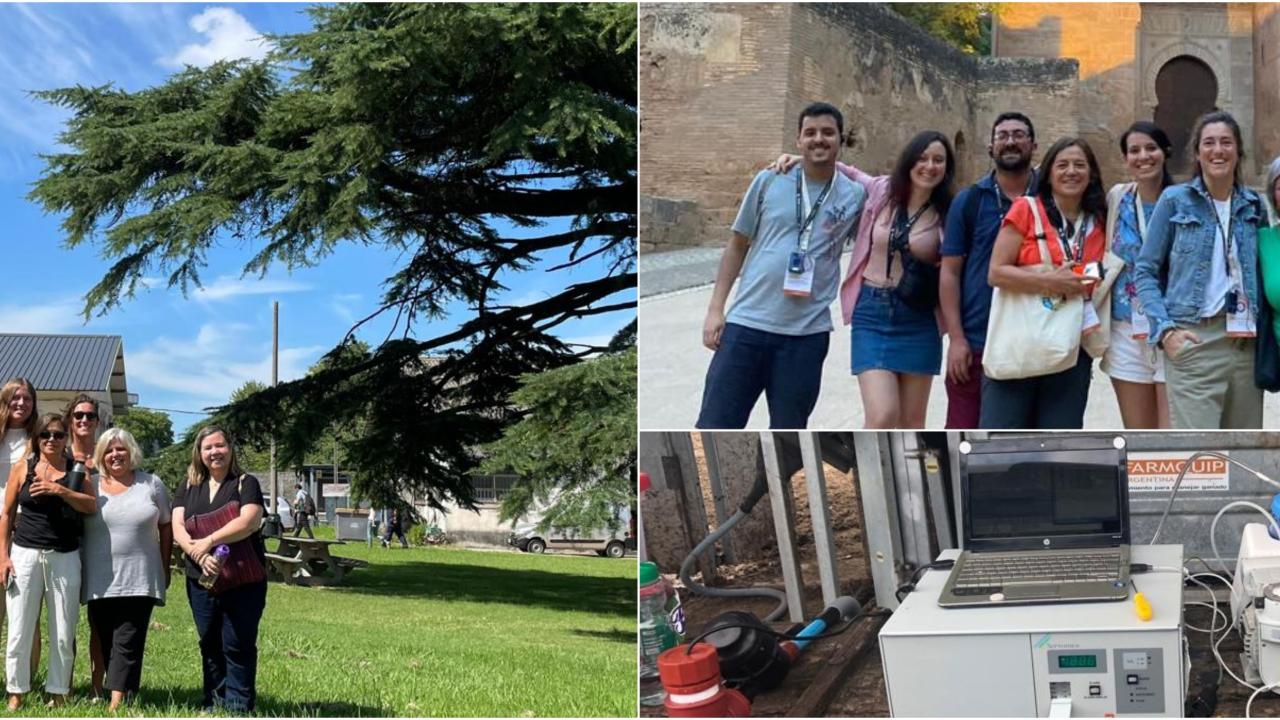 mosaico-encabezado-redceinbio-boletin2