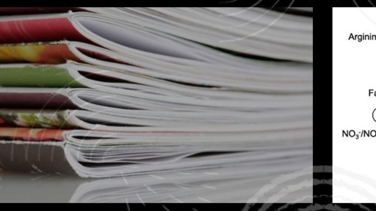 encabezado-publicacion-boletin3