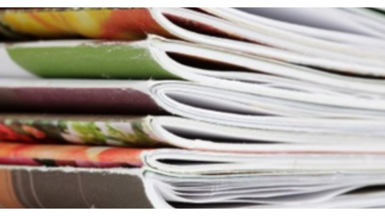 encabezado-boletin4-publicacion