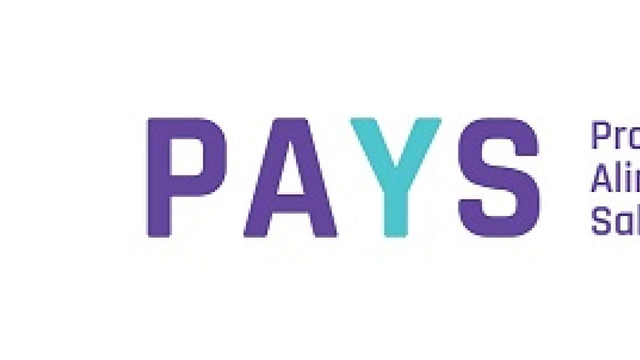 encabezado-pays-boletin