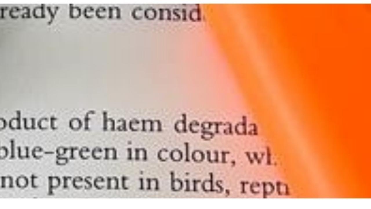 encabezado-peper-destacado