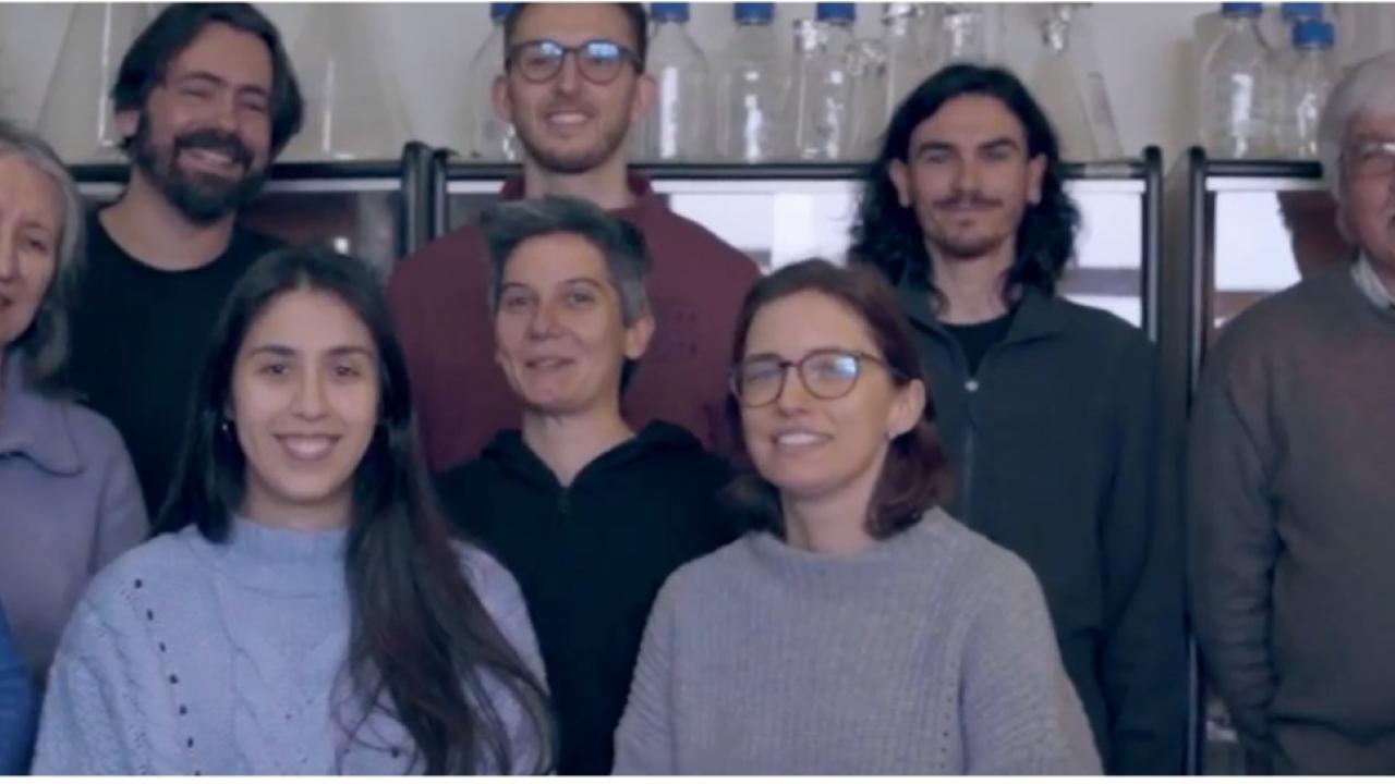 encabezado-boletin5-red