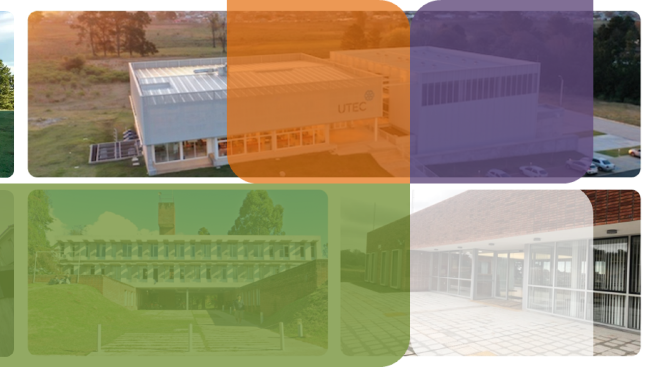 Libro de Resúmenes - VIII Simposio CEINBIO