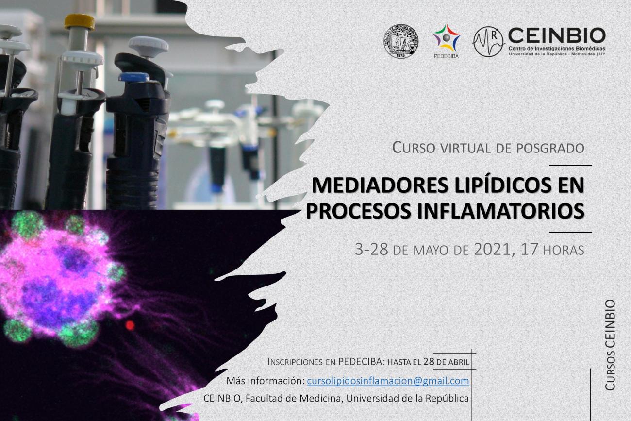 Curso "Mediadores lipídicos en procesos inflamatorios"