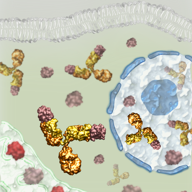 publicacion-boletin2