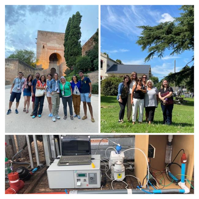 mosaico-redceinbio-boletin2