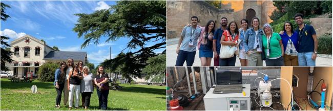 mosaico-encabezado-redceinbio-boletin2